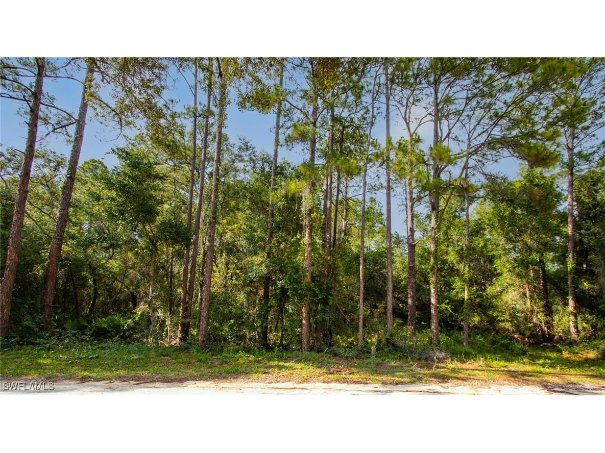 7176 Norway Street Webster FL 33597 225053902 image1