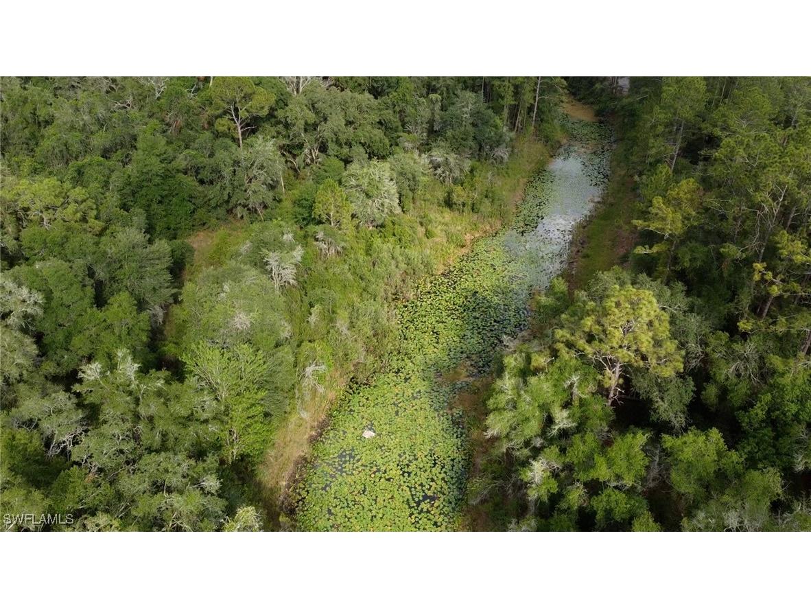 7176 Norway Street Webster FL 33597 225053902 image10