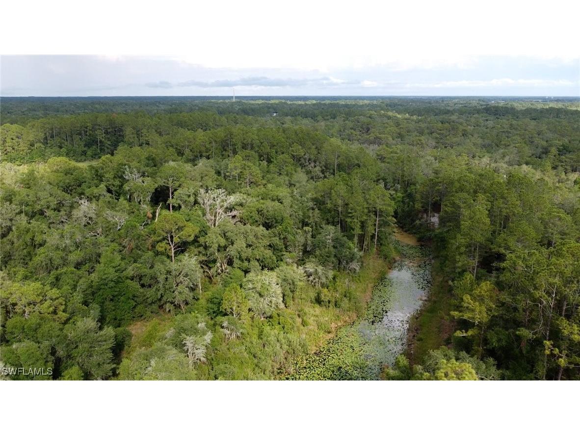 7176 Norway Street Webster FL 33597 225053902 image11