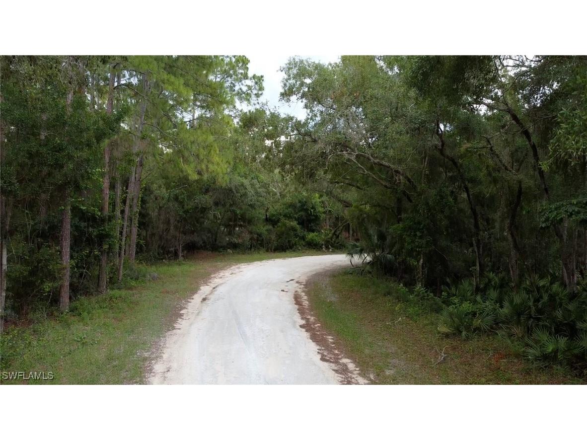 7176 Norway Street Webster FL 33597 225053902 image5