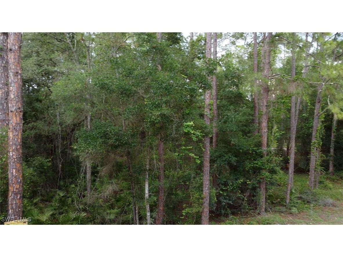 7176 Norway Street Webster FL 33597 225053902 image6