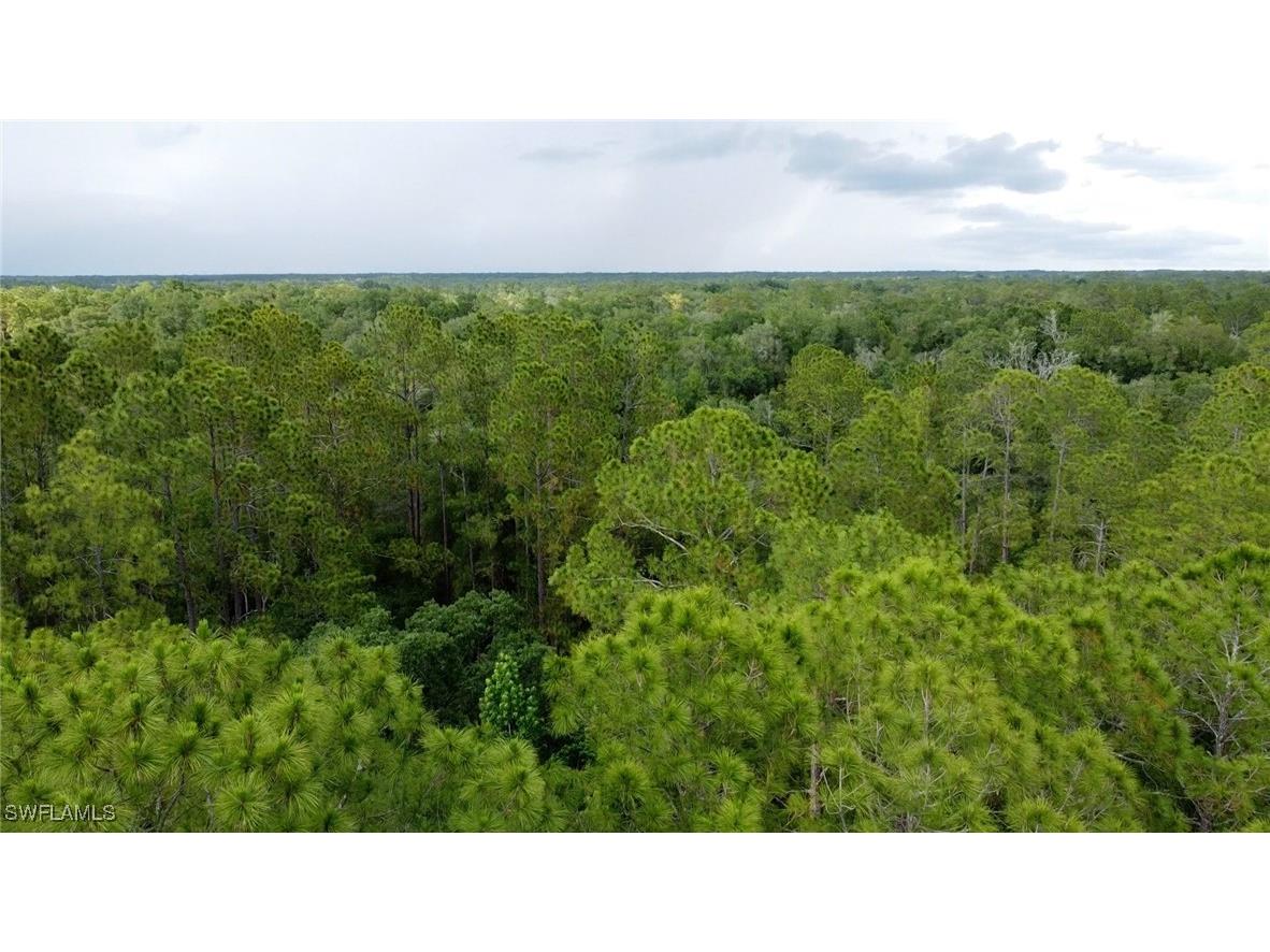 7176 Norway Street Webster FL 33597 225053902 image7