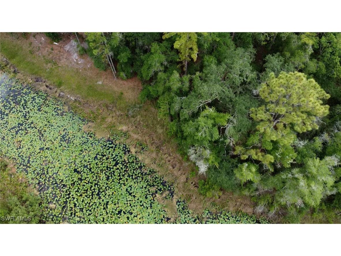 7176 Norway Street Webster FL 33597 225053902 image8