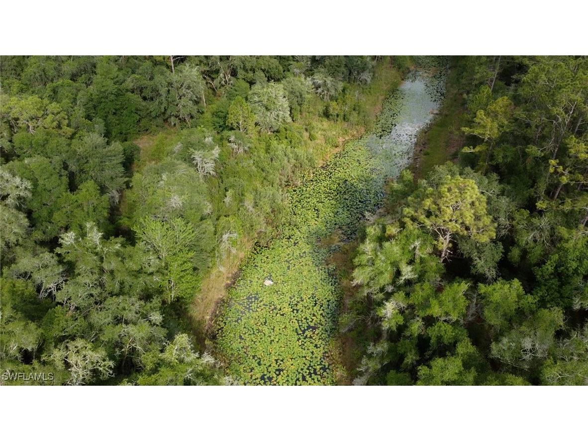 7176 Norway Street Webster FL 33597 225053902 image9