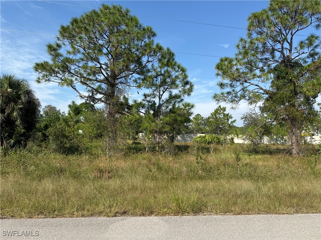 718 Bedford Point Avenue Lehigh Acres FL 33974 224090053 image1