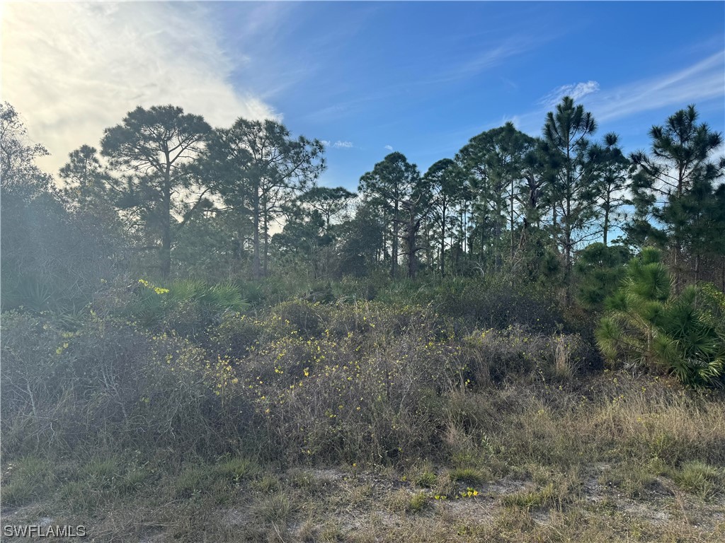 718 Drury Avenue Lehigh Acres FL 33974 224006893 image1