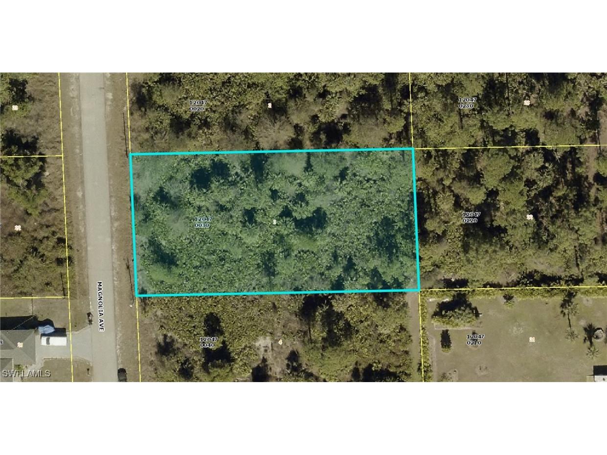 718 Magnolia Avenue Lehigh Acres FL 33972 225078852 image1