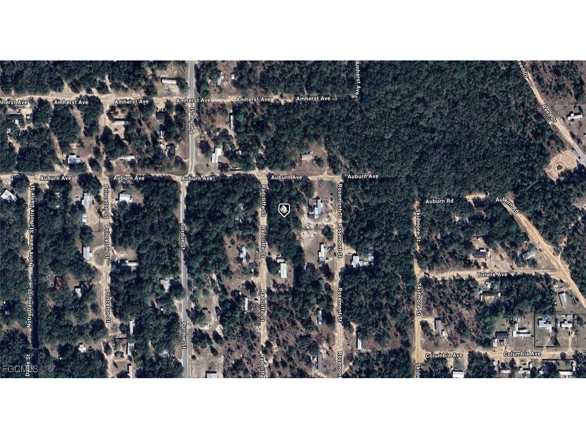 7185 Radcliffe Street Keystone Heights FL 32656 2025016831 image2