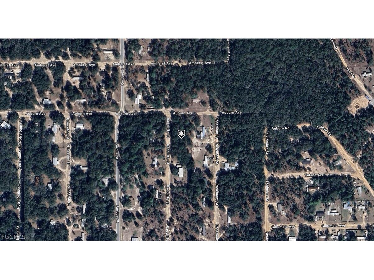 7185 Radcliffe Street Keystone Heights FL 32656 2026013094 image2