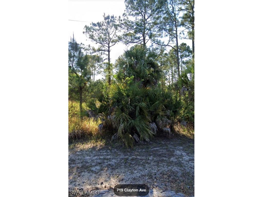719 Clayton Avenue Lehigh Acres FL 33972 223045081 image1