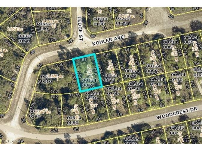 719 Kohler Avenue Lehigh Acres FL 33972 223010142 image1