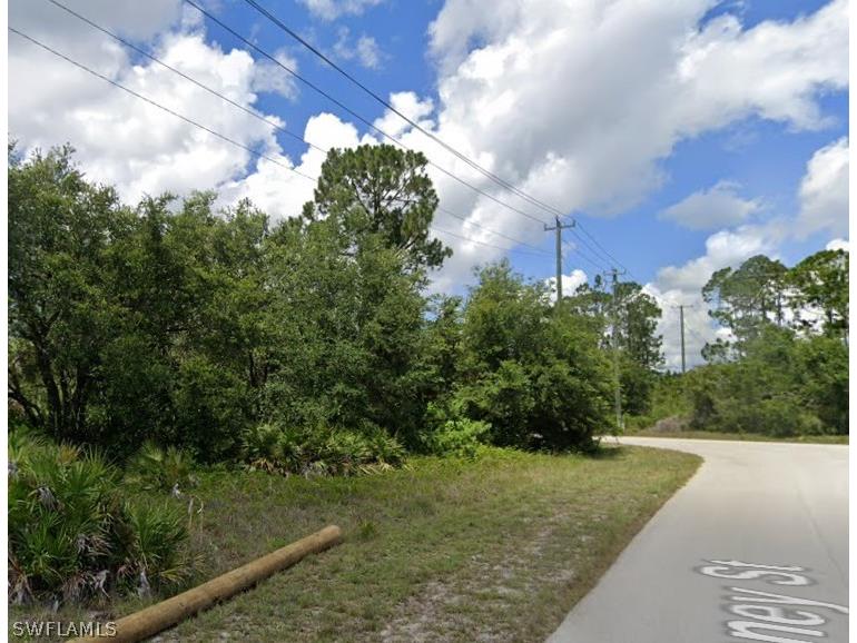 719 Tunney Street Lehigh Acres FL 33972 224031441 image1
