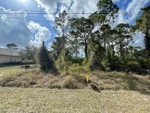 720 Bering Avenue S Lehigh Acres FL 33974 224035933 image1