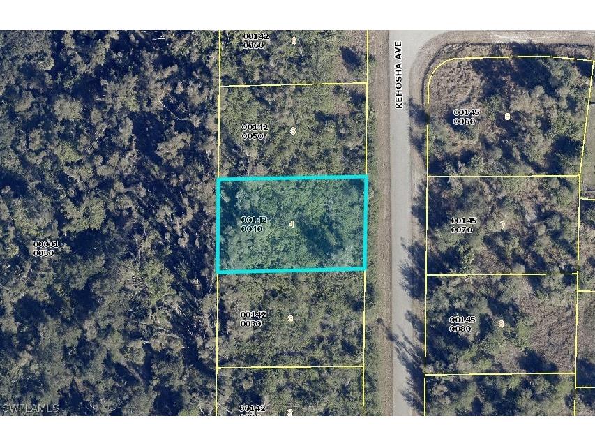 720 Kehosha Avenue Lehigh Acres FL 33974 223048229 image1