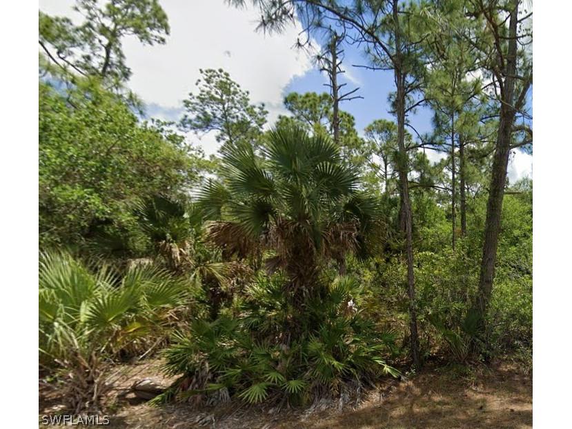 720 Louis Avenue Lehigh Acres FL 33972 226007897 image1