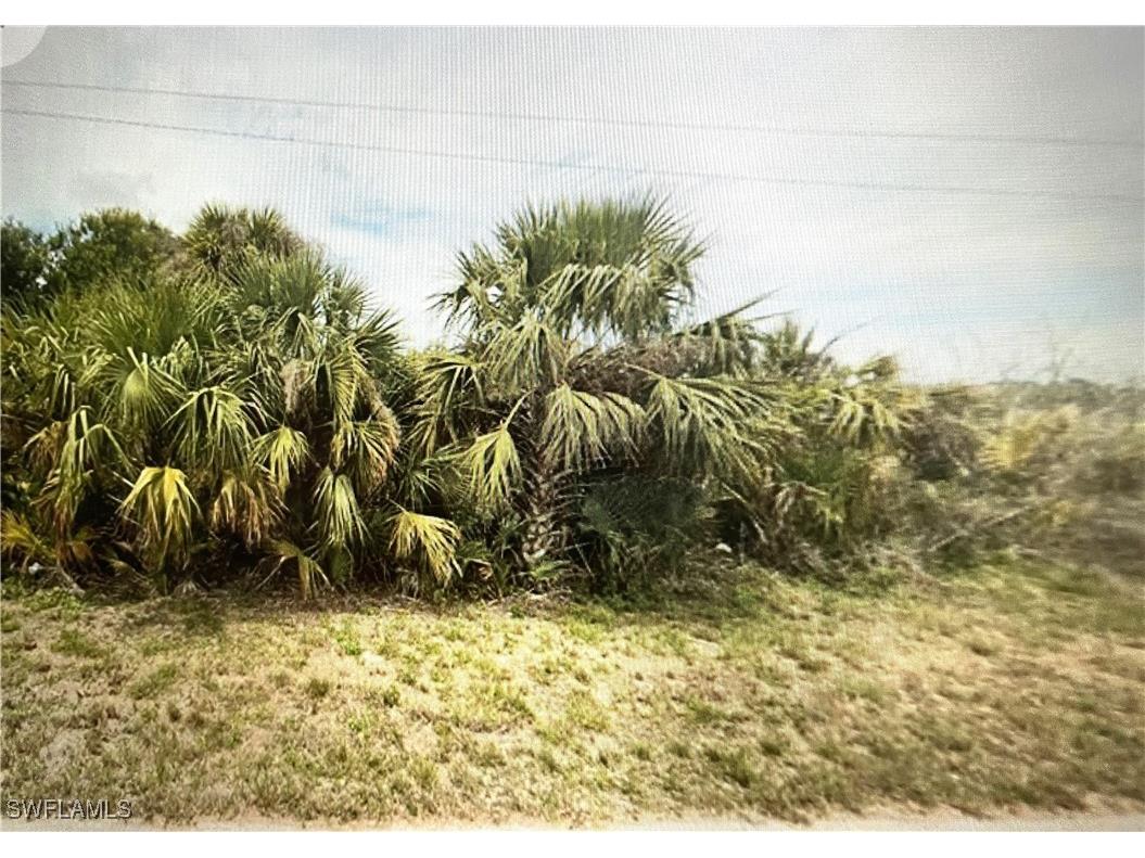 720 Milano Avenue S Lehigh Acres FL 33974 224071591 image1