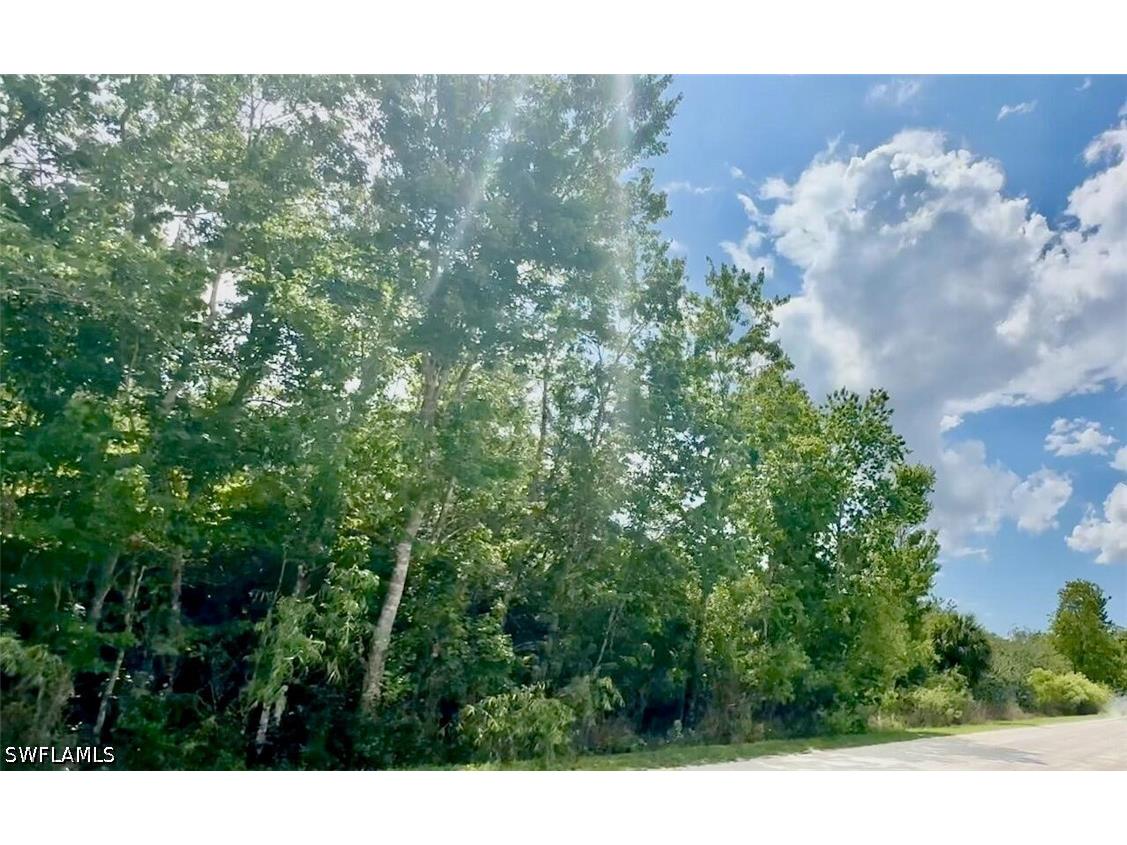 720 Shady Hollow Boulevard W Naples FL 34120 226021917 image3