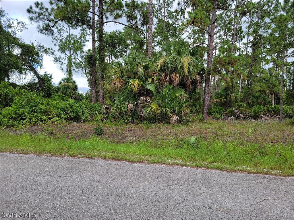 720 Sheldon Avenue Lehigh Acres FL 33936 224060475 image1