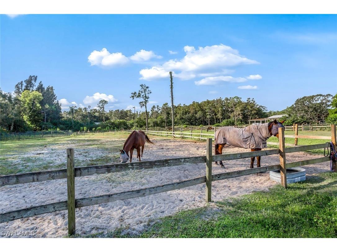 7200 Carousel Lane Fort Myers FL 33966 224016781 image13