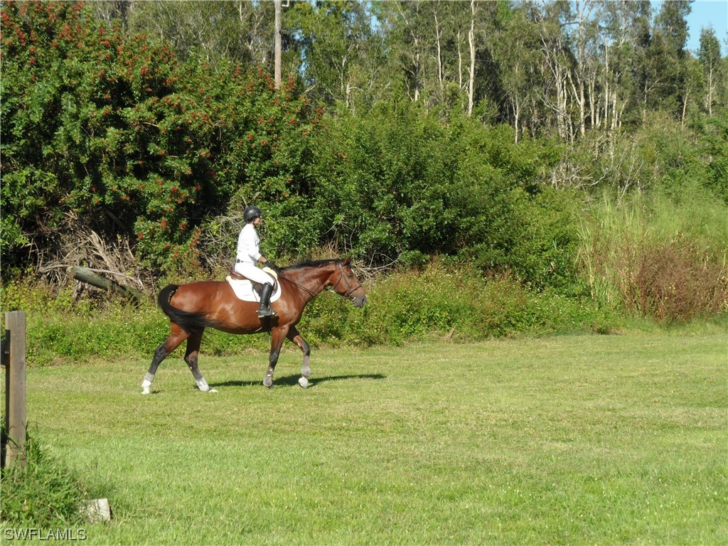 7200 Carousel Lane Fort Myers FL 33966 224016781 image5