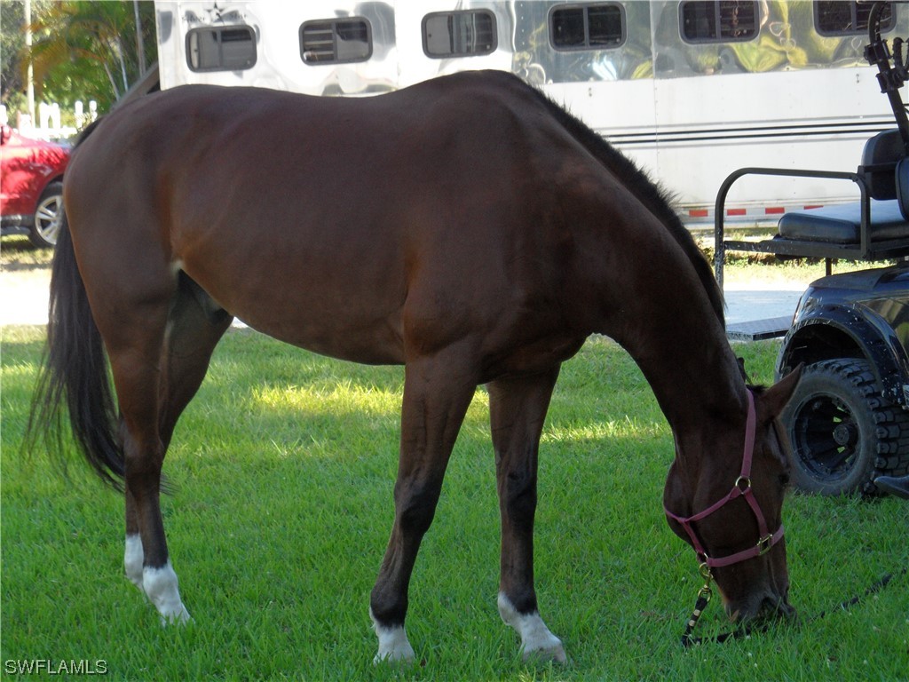 7200 Carousel Lane Fort Myers FL 33966 224016781 image6