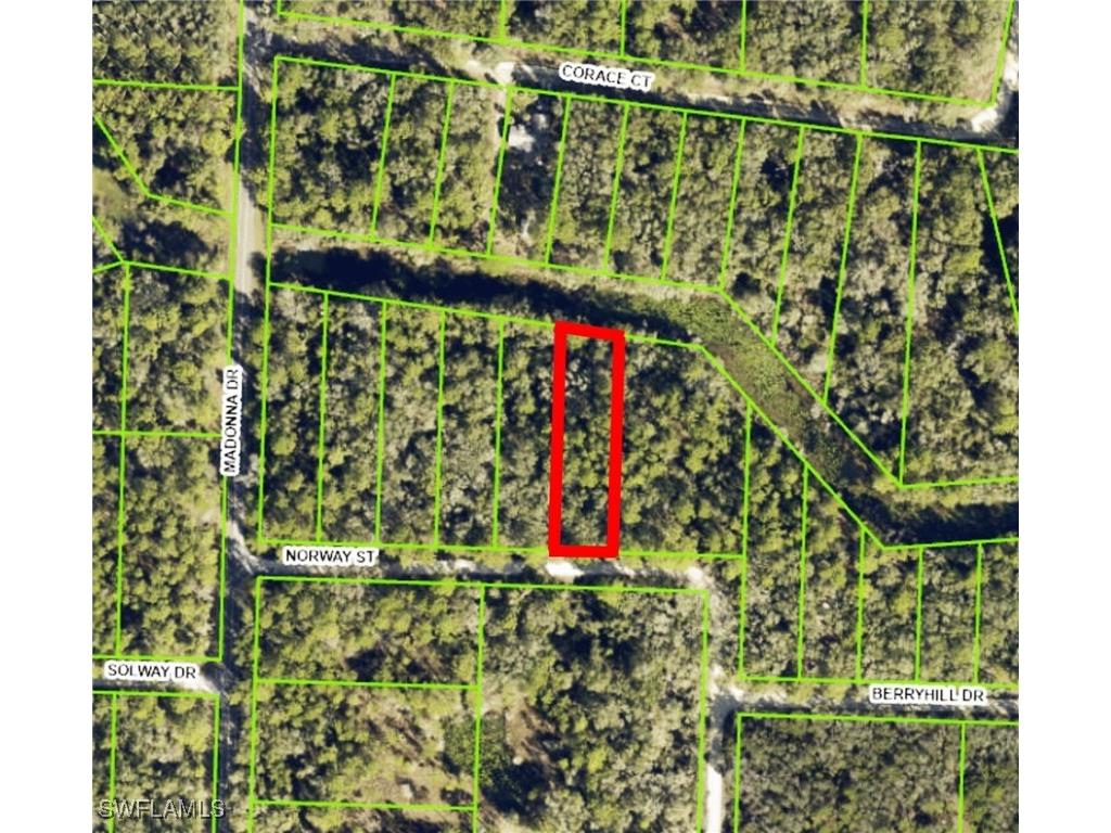 7200 Norway Street Webster FL 33597 225053913 image1