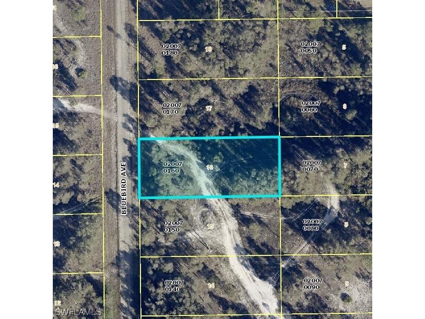 721 Bluebird Avenue Lehigh Acres FL 33974 224023445 image1