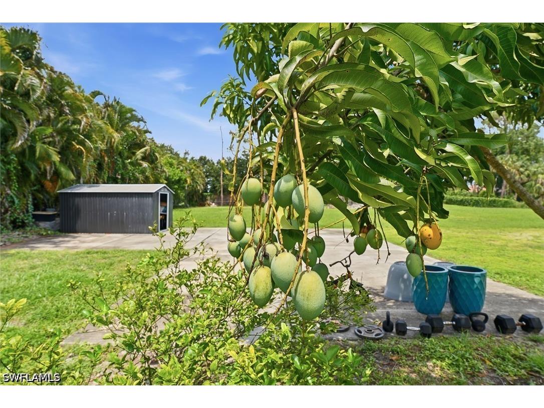 721 Logan Boulevard S Naples FL 34119 226022898 image34