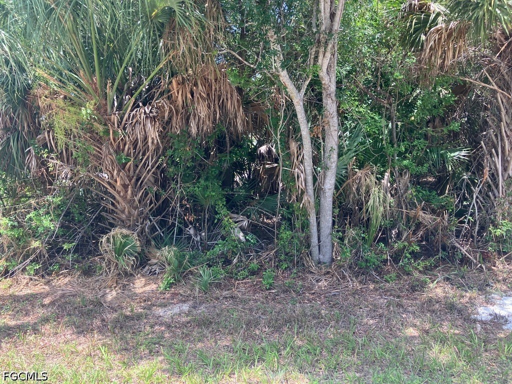 7219 Freeberg Circle Port Charlotte FL 33981 2026029665 image6