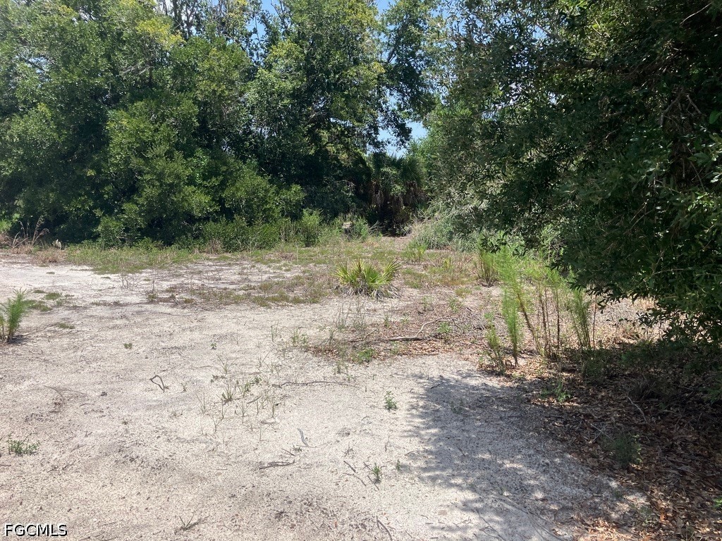 7219 Freeberg Circle Port Charlotte FL 33981 2026029665 image8