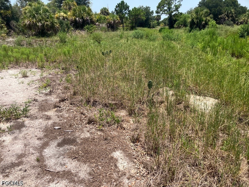 7219 Freeberg Circle Port Charlotte FL 33981 2026029665 image9