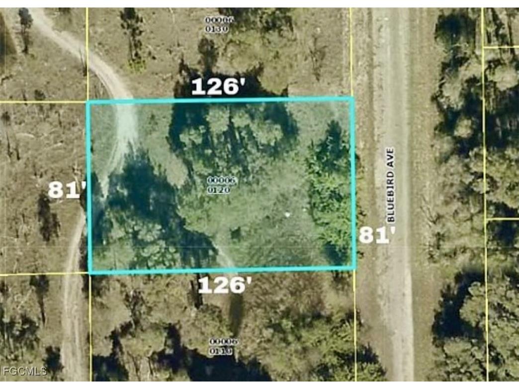 722 Bluebird Avenue Lehigh Acres FL 33974 2025020575 image1