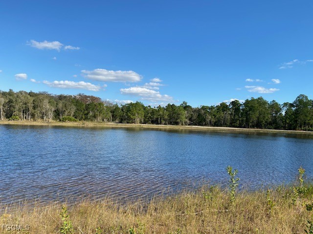 723 Joffre Place Lehigh Acres FL 33974 2025011369 image1