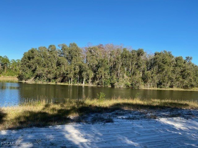 723 Joffre Place Lehigh Acres FL 33974 2025011369 image3