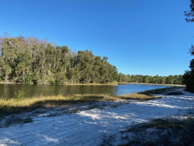 723 Joffre Place Lehigh Acres FL 33974 2025011369 image4