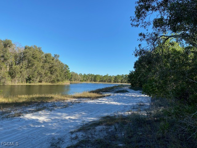 723 Joffre Place Lehigh Acres FL 33974 2025011369 image5