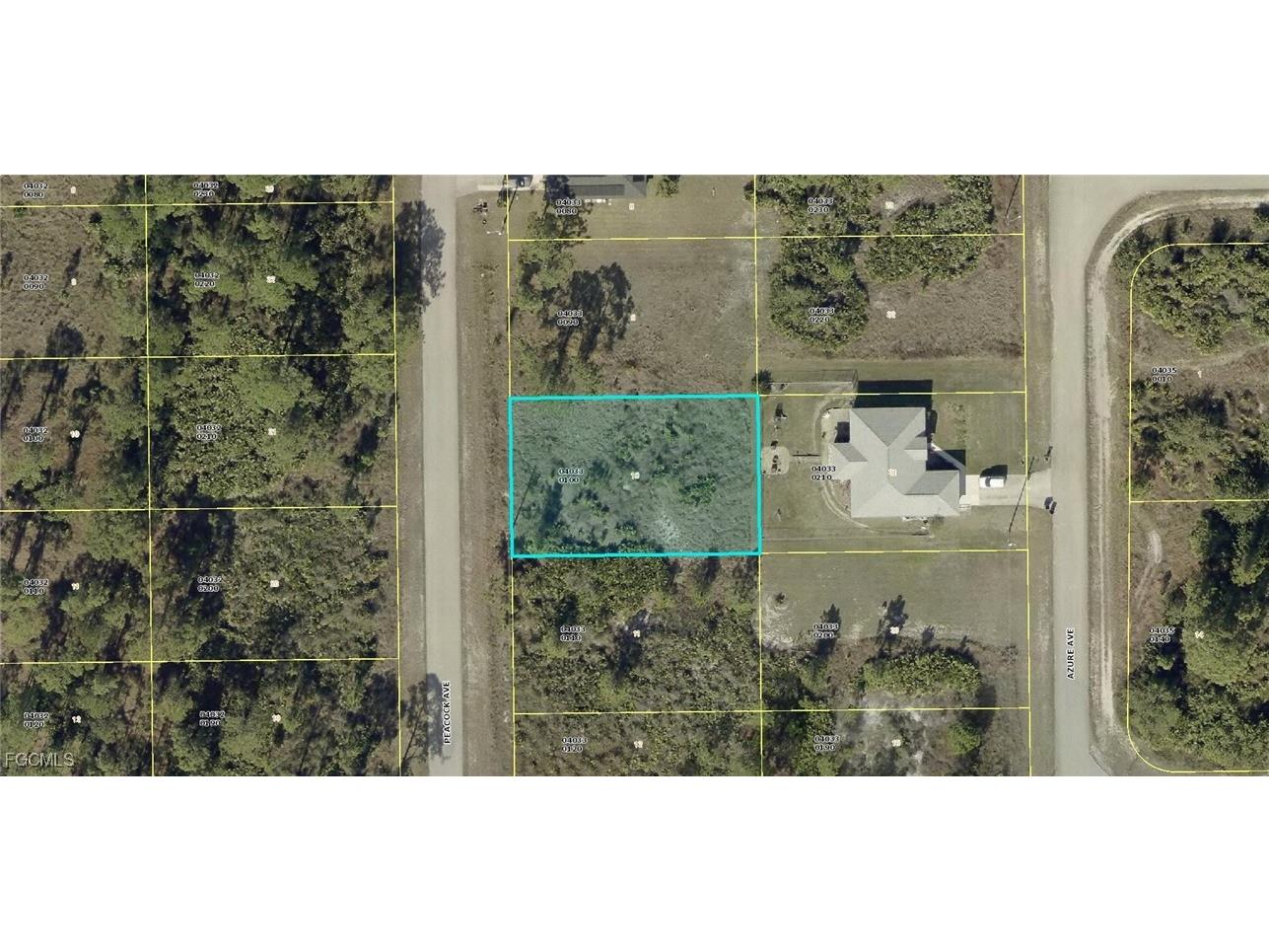 723 Peacock Avenue Lehigh Acres FL 33974 2025015071 image1