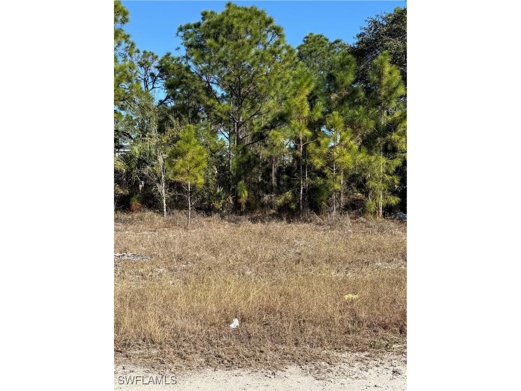 723 Worth Avenue S Lehigh Acres FL 33974 226001368 image5