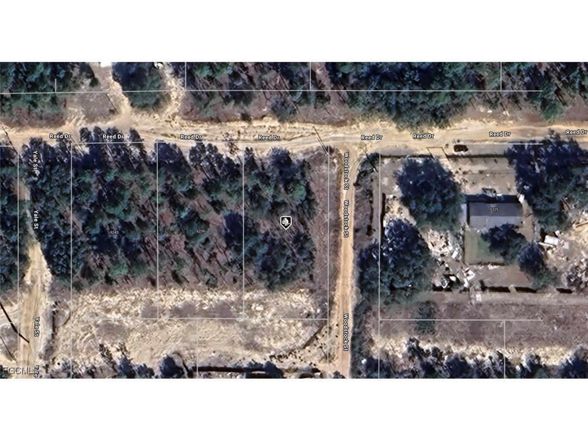 7232 Woodstock Street Keystone Heights FL 32656 2025016826 image1