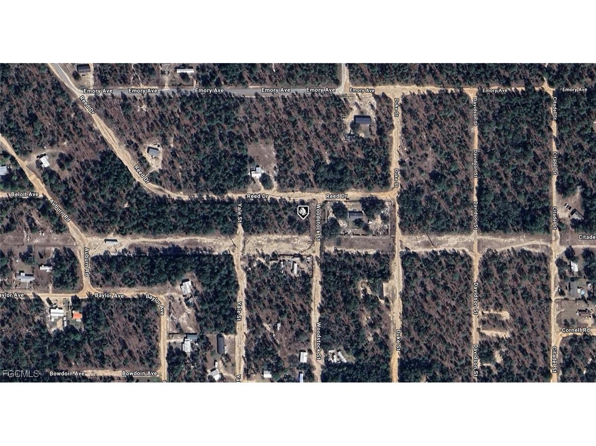 7232 Woodstock Street Keystone Heights FL 32656 2025016826 image2