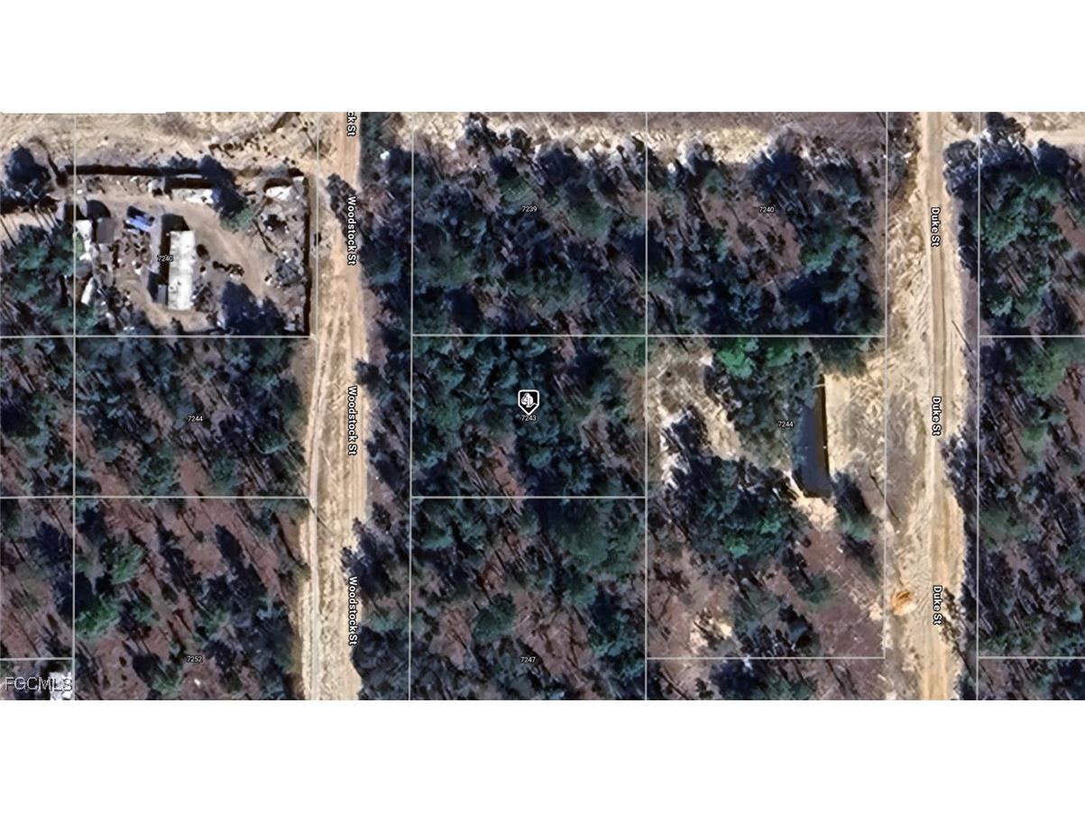7243 Woodstock Street Keystone Heights FL 32656 2025016822 image1