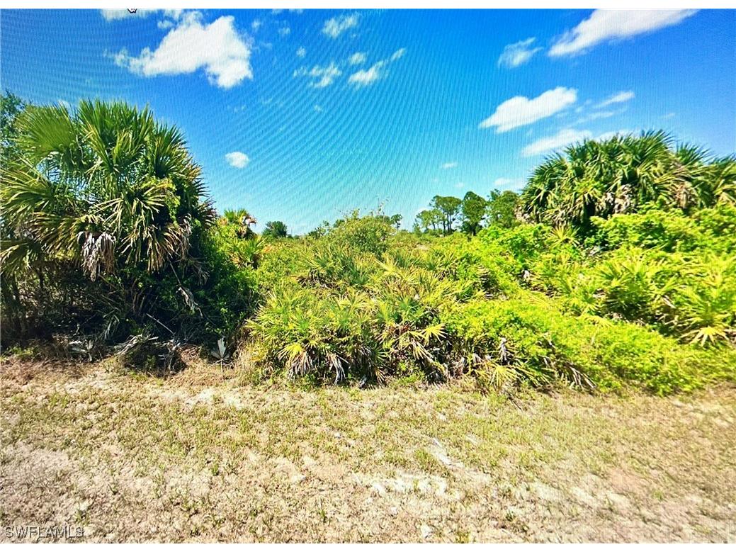 725 Central Street E Lehigh Acres FL 33974 224019001 image1