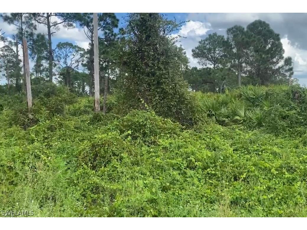 725 Da Vinci Avenue S Lehigh Acres FL 33974 222072941 image1