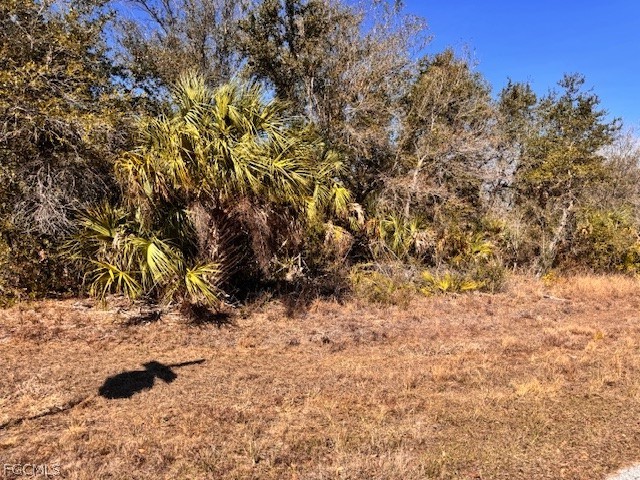 7258 Freeberg Circle Port Charlotte FL 33981 2026008820 image1
