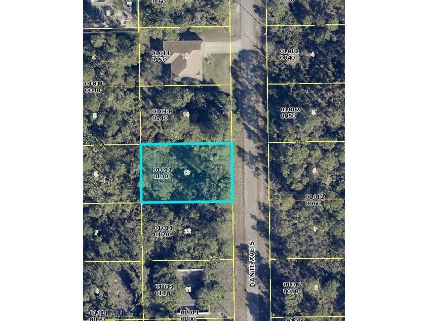 726 Dante Avenue S Lehigh Acres FL 33974 224023431 image1