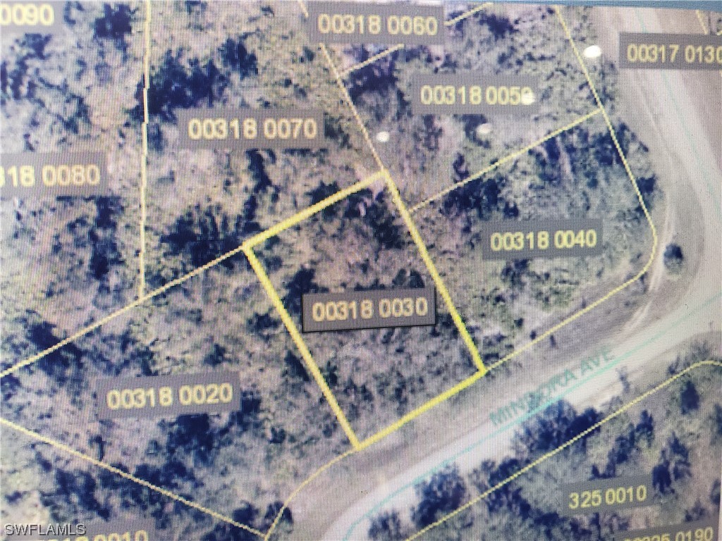 726 Mindora Avenue Lehigh Acres FL 33972 224012579 image1