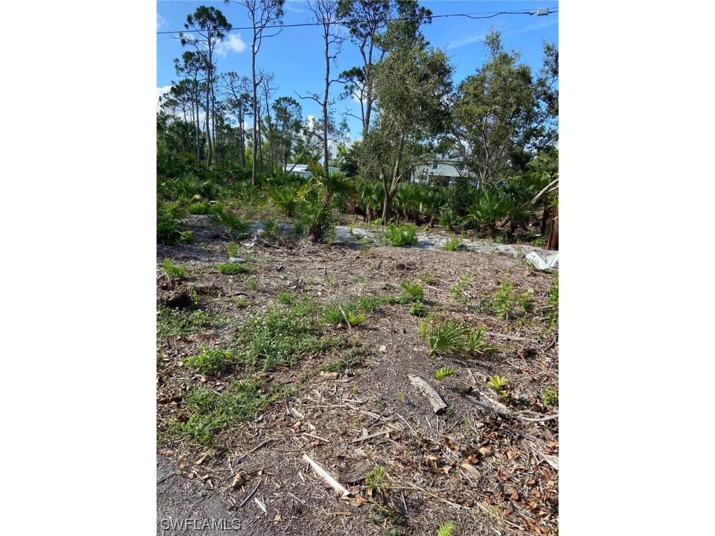 7261 Guava Avenue Bokeelia FL 33922 223035961 image3