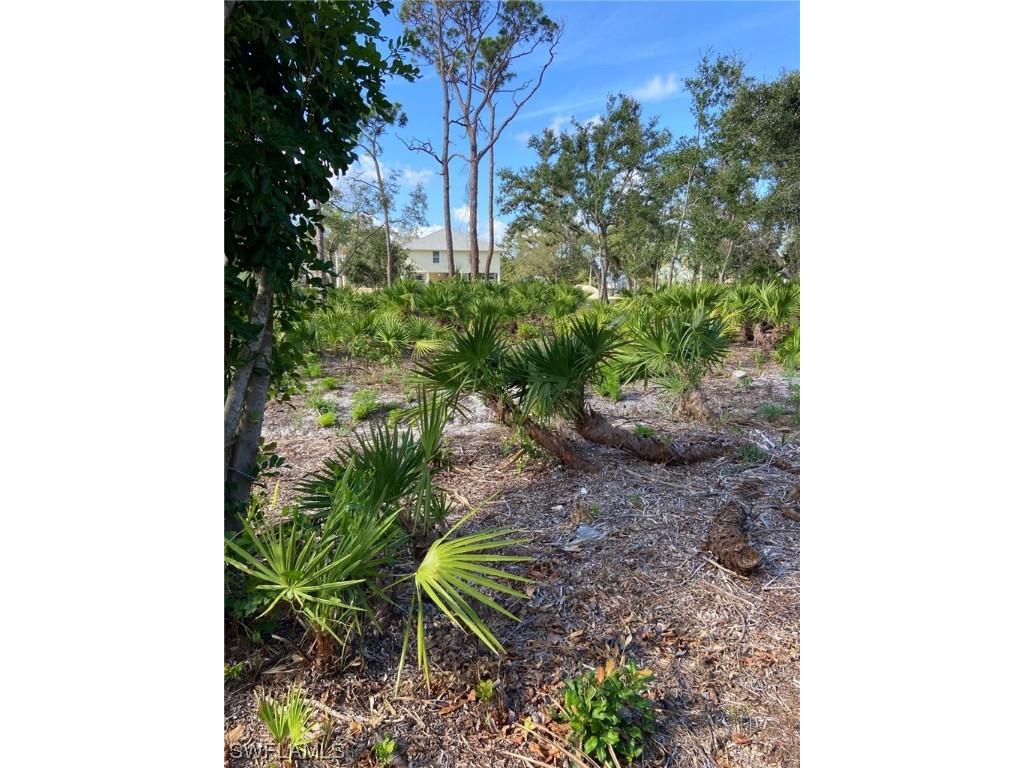 7261 Guava Avenue Bokeelia FL 33922 223035961 image5