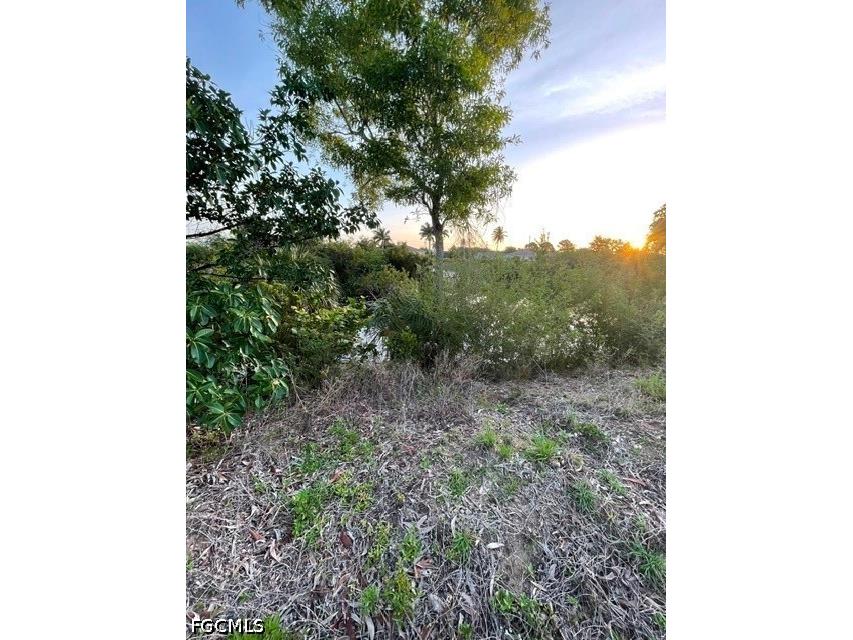 727 Gleason Parkway Cape Coral FL 33914 2026022978 image5