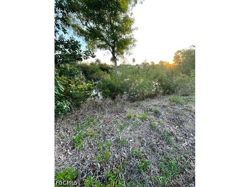 727 Gleason Parkway Cape Coral FL 33914 2026022978 image6